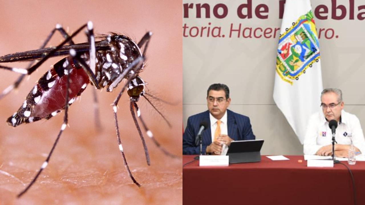 Confirman Primer Muerte Por Dengue En Puebla Contigo Puebla