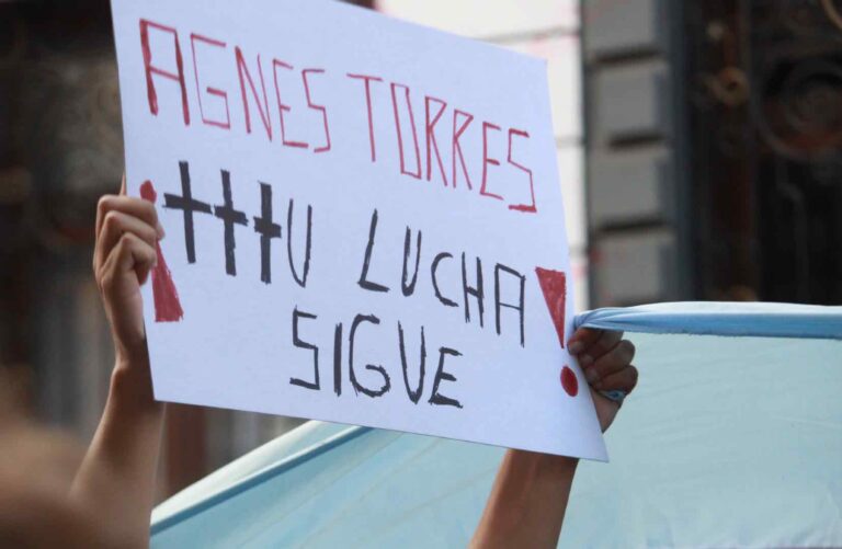 Entrevista: La necesidad de reglamentar la Ley Agnes