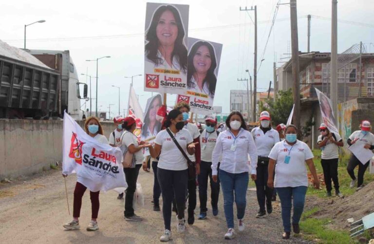 Entrevista| Las propuestas de Laura Sánchez, candidata de PSI la diputación local por el Distrito 19
