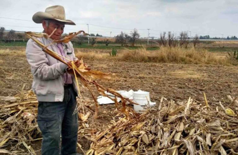 Philias| Crece la población, el hambre, ¿y el campo mexicano?