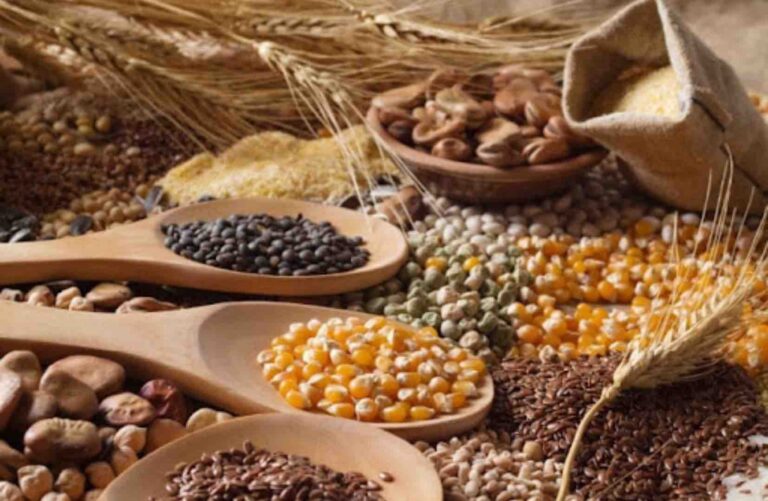 Gasta México 51% más en importar maíz, trigo, frijol y huevo que en 2020