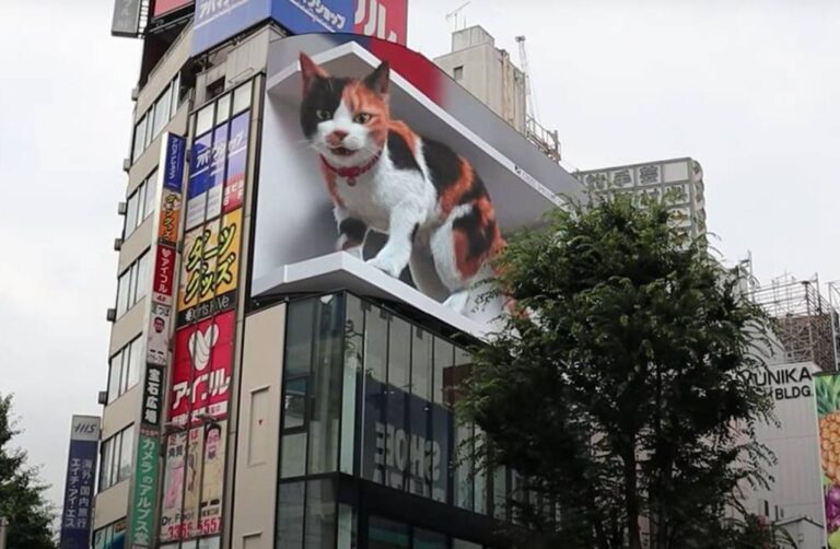  El gigantesco “michi” 3D que sorprende en las calles de Tokio