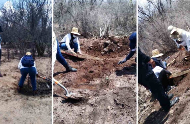 Madres rastrean y excavan en busca de sus desaparecidos