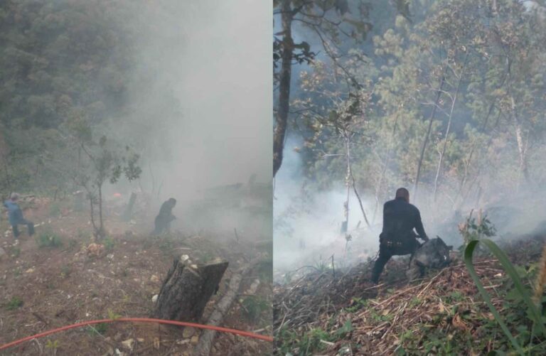 Incendios forestales terminan con el 70% de los bosques poblanos