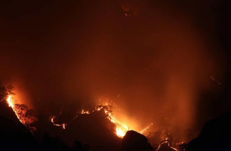 Puebla; entre los 10 estados con mayores casos de incendios forestales en el país