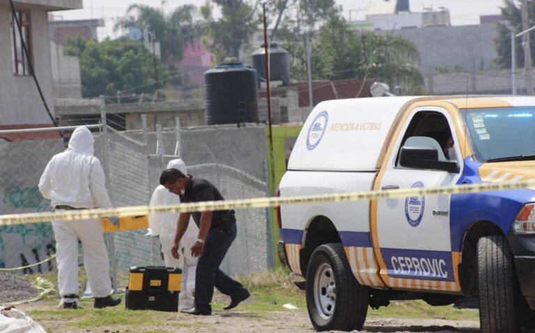 Encuentran en Clavijero cabeza humana en descomposición