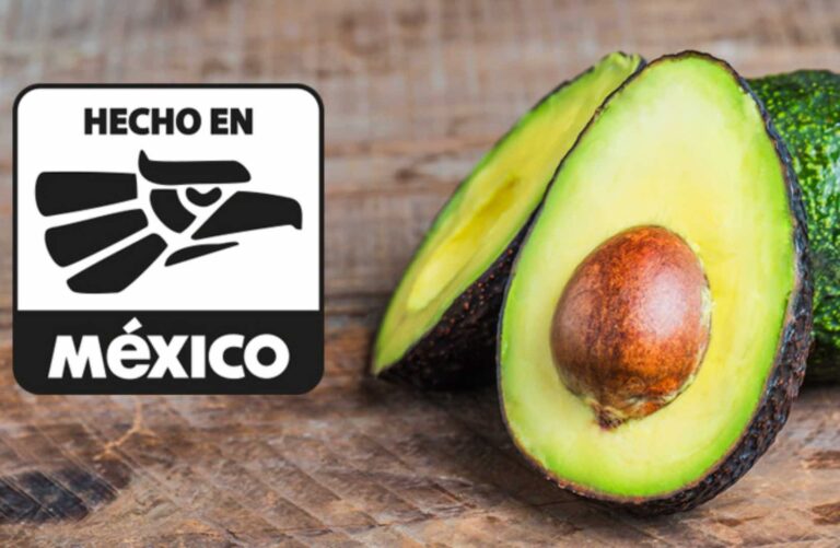 México regresa a exportar aguacate a Costa Rica