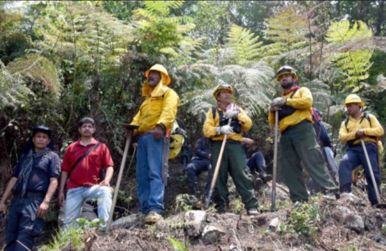 El gobierno analiza… ¡el pueblo combate los incendios!