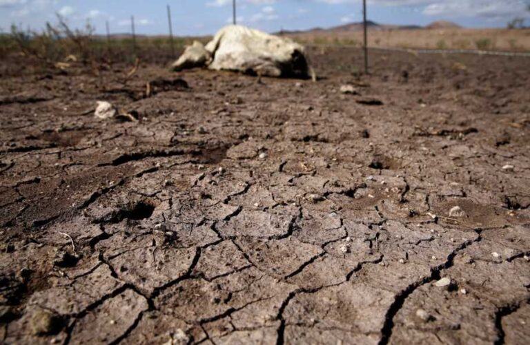 Conagua registra 59 municipios con sequía en Puebla
