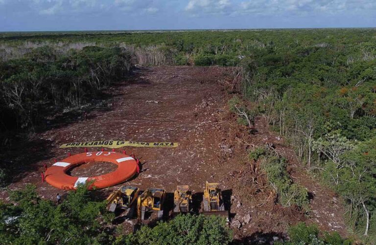 Greenpeace denuncia reinicio ilegal de obras para Tren Maya