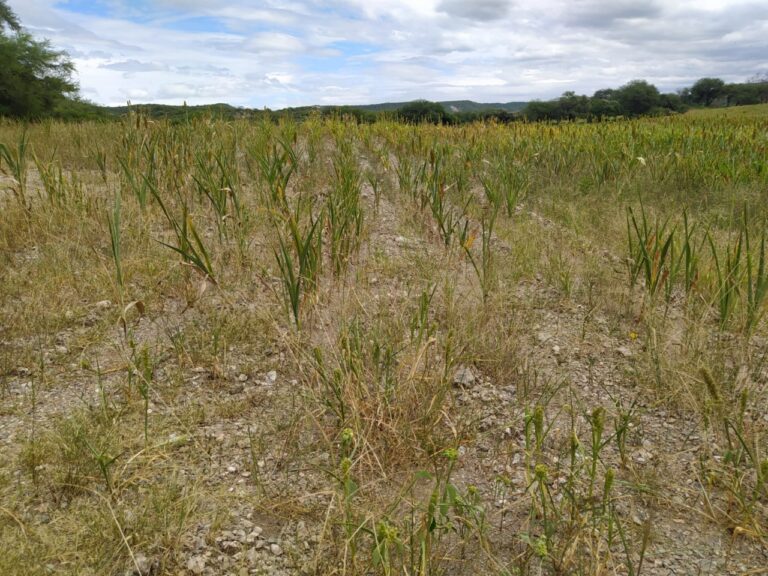Campesinos denuncian abandono de autoridades