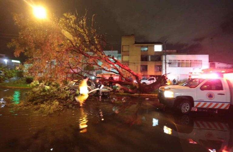Intensa lluvia provoca caída de árboles en Puebla