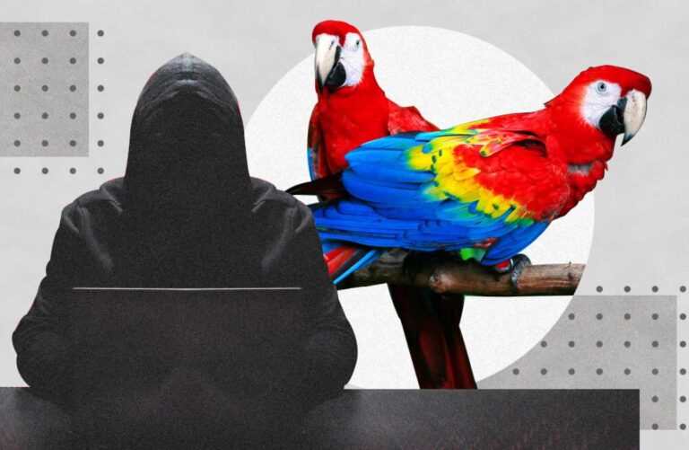 Protección a cárteles y colusión en el tráfico de migrantes y drogas de las Fuerzas Armadas de México: revela “hackers” Guacamaya
