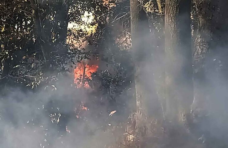 Reportan otro incendio forestal en San Miguel Canoa