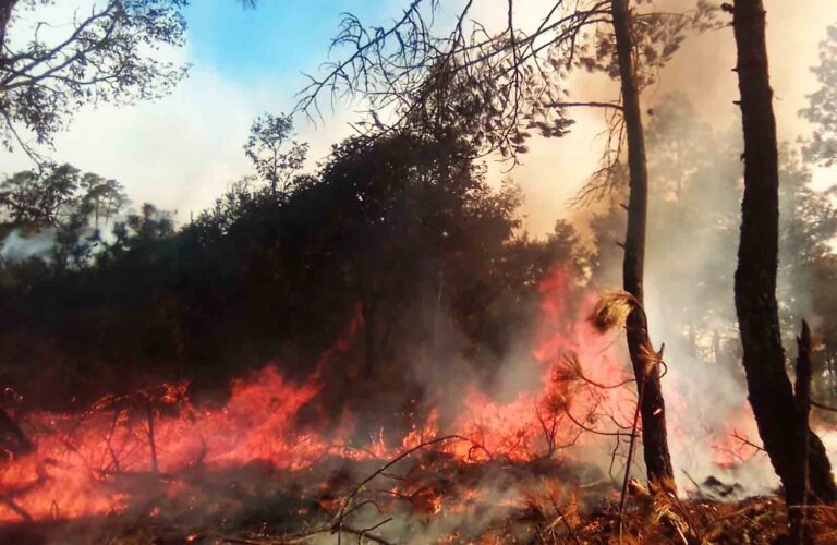 Incendio forestal en Tetela de Ocampo, controlado
