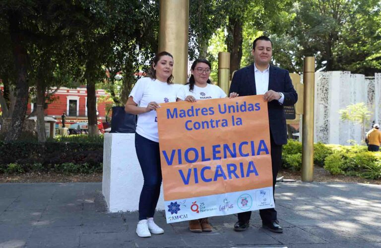Ley Vicaria de Puebla: iniciativa presentada en Colombia
