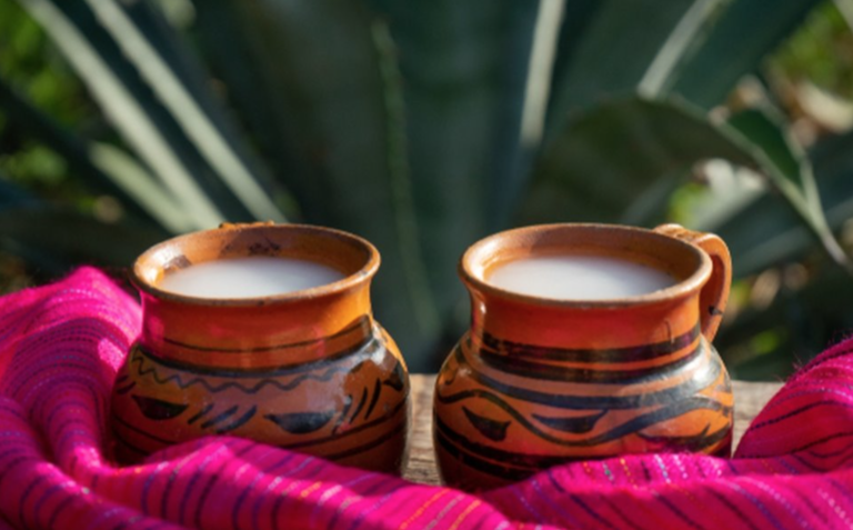 Anuncian la XII feria del Pulque en Calpan