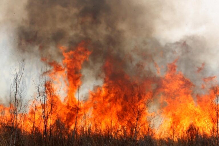 Puebla, cuarto lugar nacional en incendios forestales