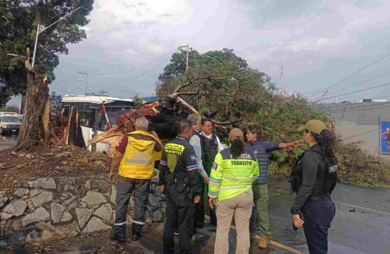 Dejan graves afectaciones en Puebla las fuertes lluvias