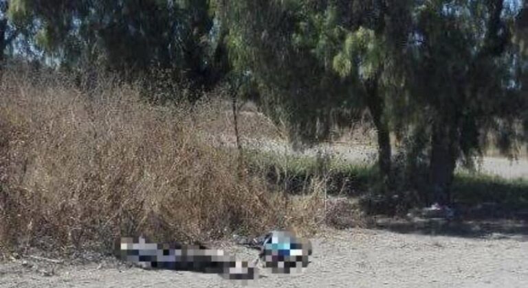 Desmiembran a un hombre en Quecholac