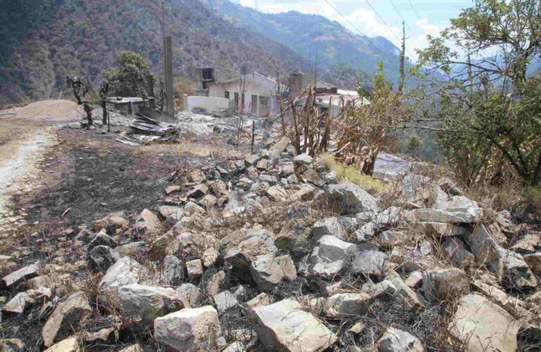 Extinguido incendio forestal en Zacatlán