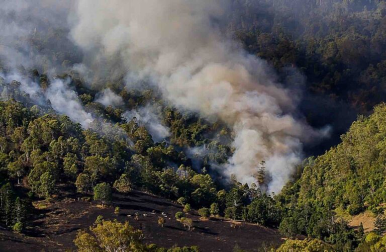 Coyomeapan lleva 8 días con incendio forestal, autoridades no atienden