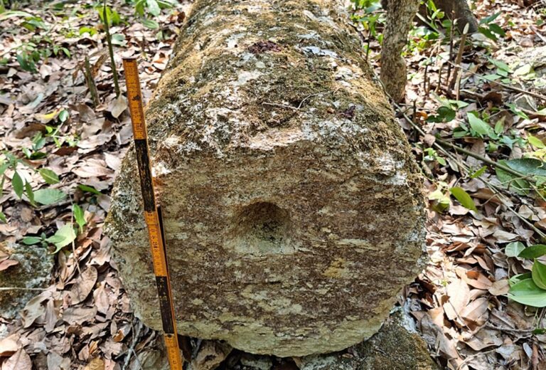 Encuentran ciudad maya perdida con pirámides de 15 metros