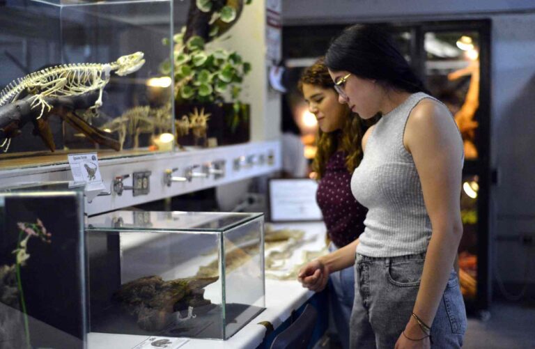 La BUAP es sede del Segundo Festival Mexicano de las Serpientes