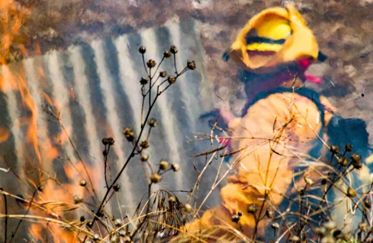 Suma Puebla 336 incendios forestales