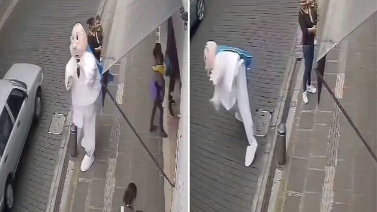¿Simi poblano? Botarga se tropieza en calles de Puebla