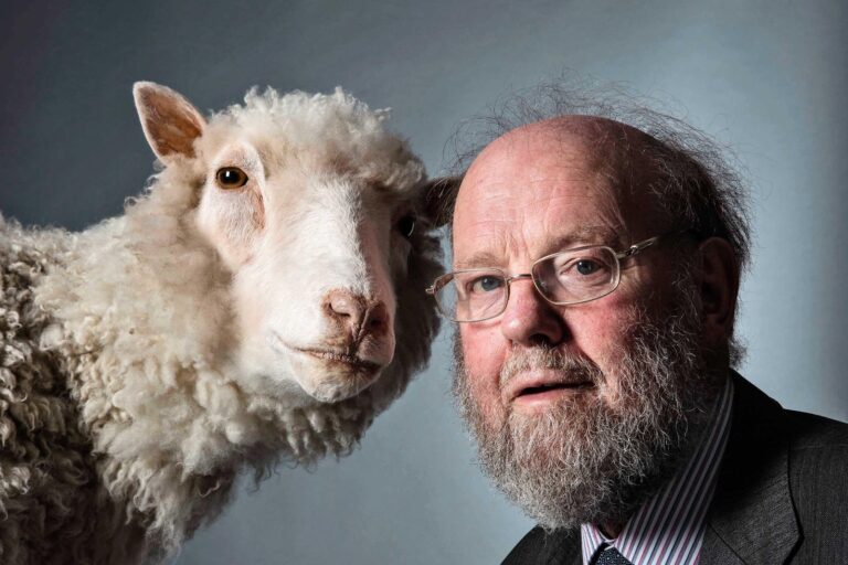Muere Ian Wilmut, “padre de la oveja Dolly”