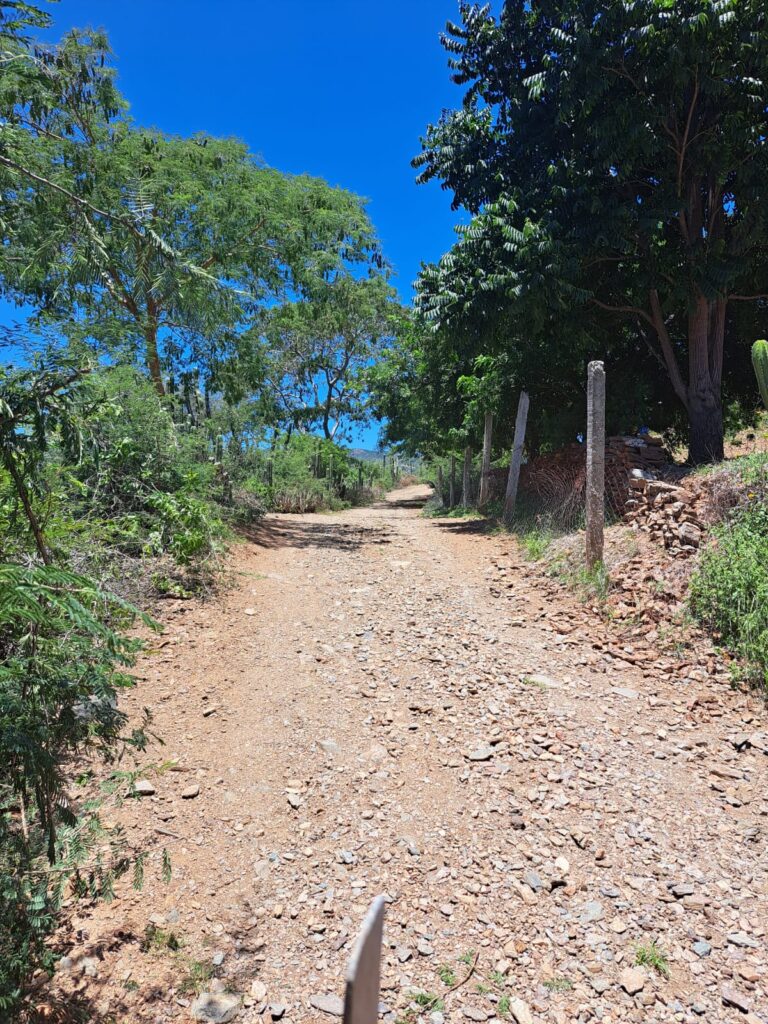 Denuncian abandono a las comunidades de Xayacatlán