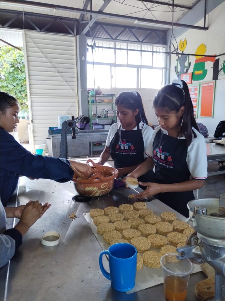 Impulsan trabajo tecnológico en escuelas de Tecomatlán