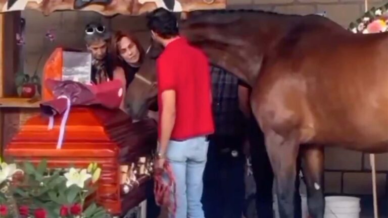 Velan a Elena Larrea en Cuacolandia, junto a los caballos que rescató