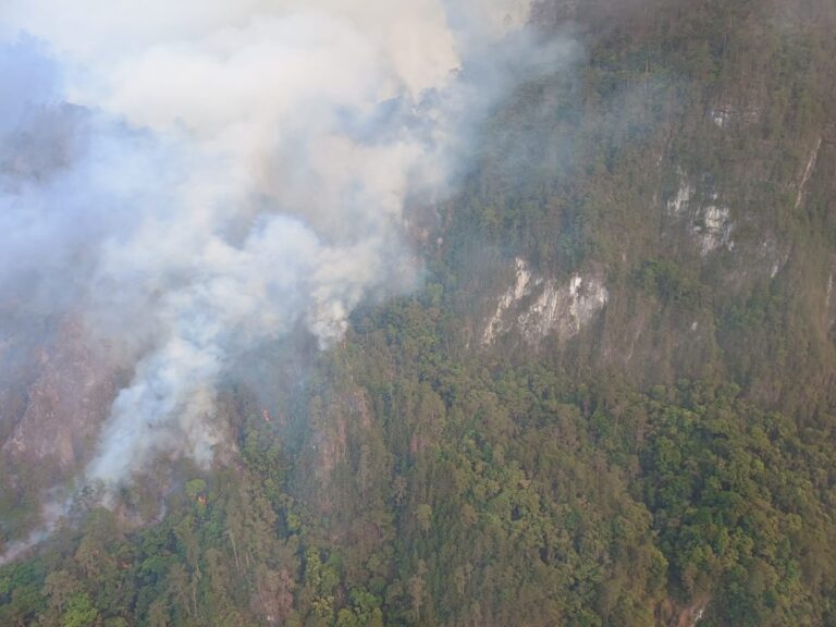 En las últimas 24 horas, Medio Ambiente reportó 17 incendios forestales