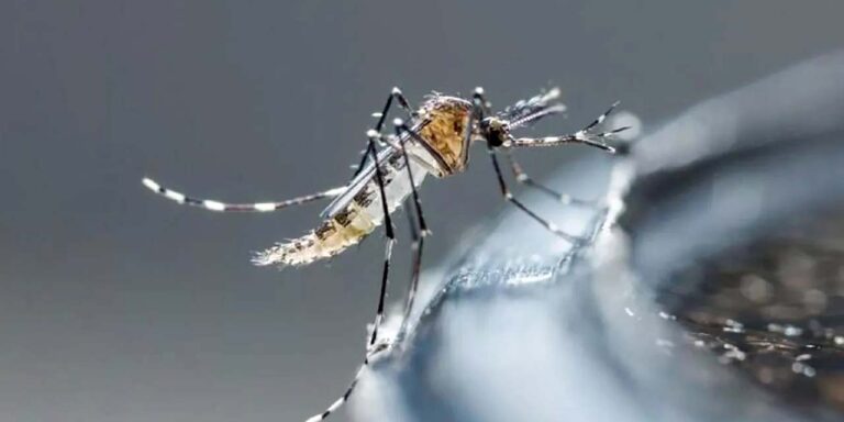 Oaxaca ocupa cuarto lugar con mayor mortalidad con casos de dengue