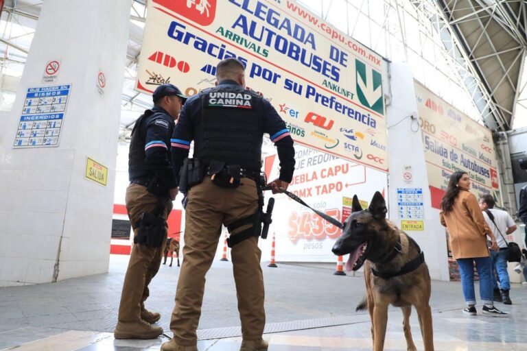 Alistan operativo para el periodo vacacional verano 2024