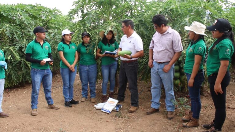 Impulsa Tecnológico de Tecomatlán producción en la Mixteca de Puebla