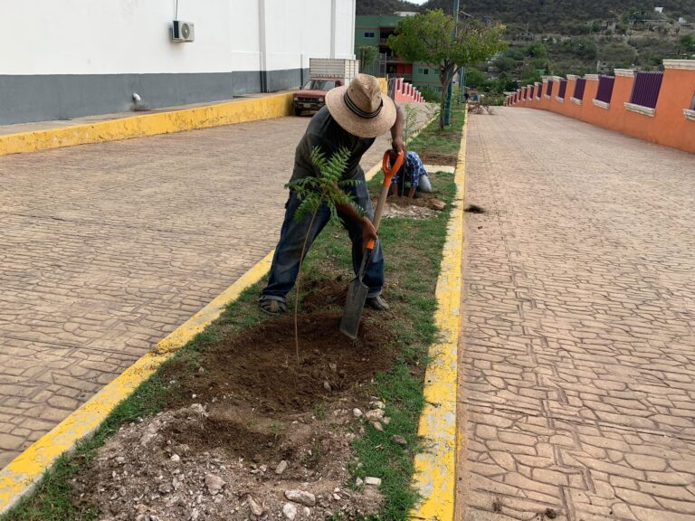 El pueblo brinda mantenimiento a espacios públicos