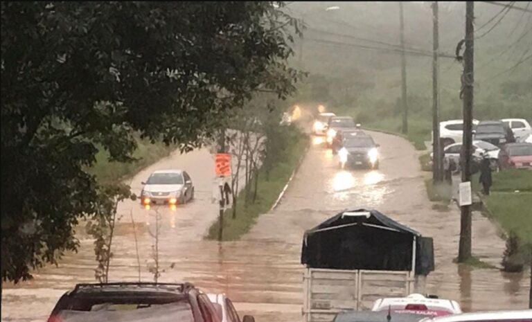 Intensas lluvias en Xalapa dejan deslizamientos de tierra y caídas de árboles