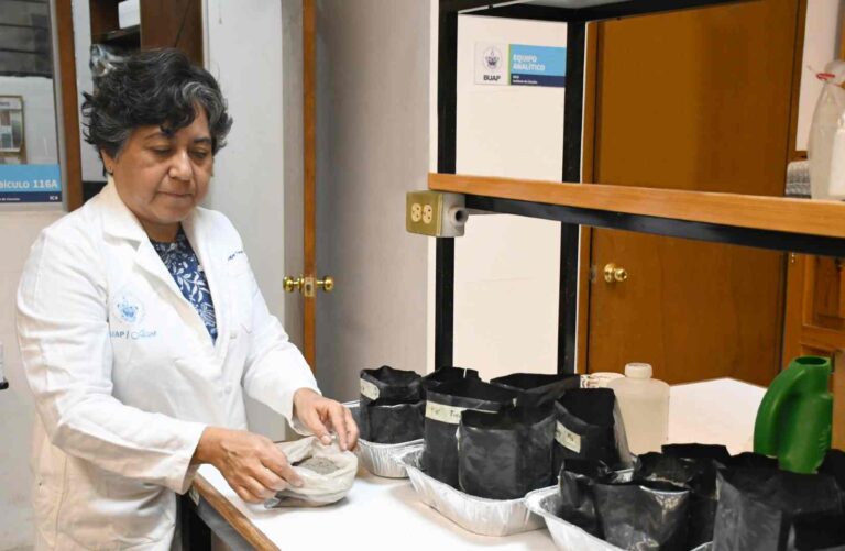 Investigadores detectan metales pesados en polvo de las calles de la ciudad de Puebla