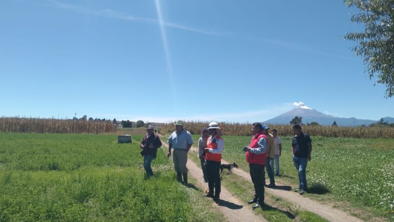 Pide Antorcha electrificaciones en Xalmimilulco