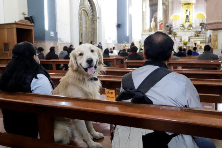 Familias celebran y bendicen a sus mascotas en el Día de San Antonio Abad