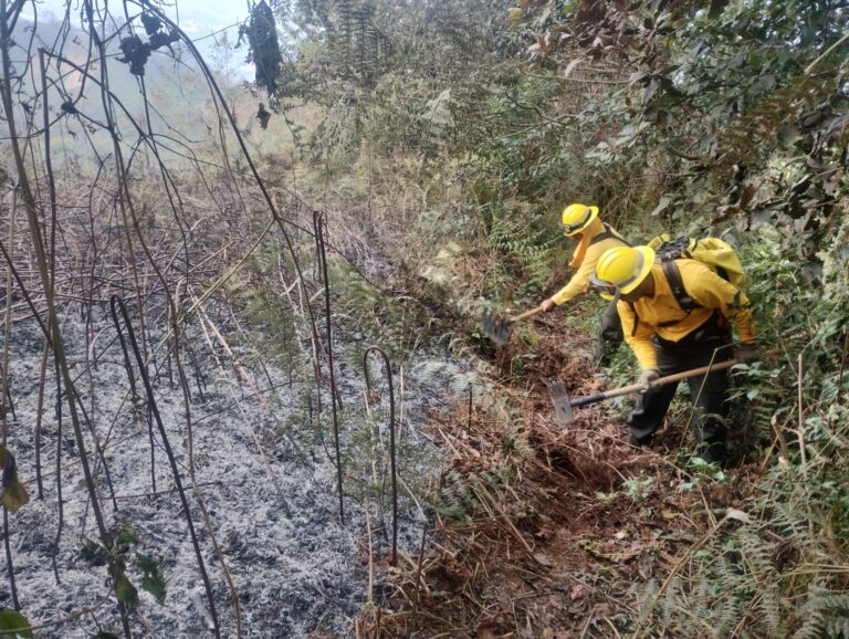 Incendios forestales en Tepatlaxco de Hidalgo y Huauchinango