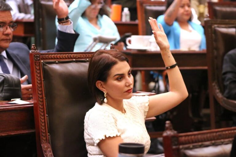 Nay Salvatori: ¿Diputada o Influencer?