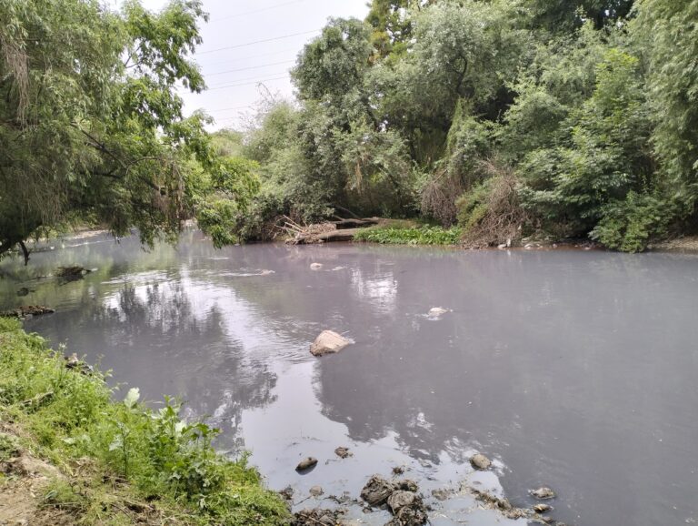 Realizan limpieza en el Río Atoyac