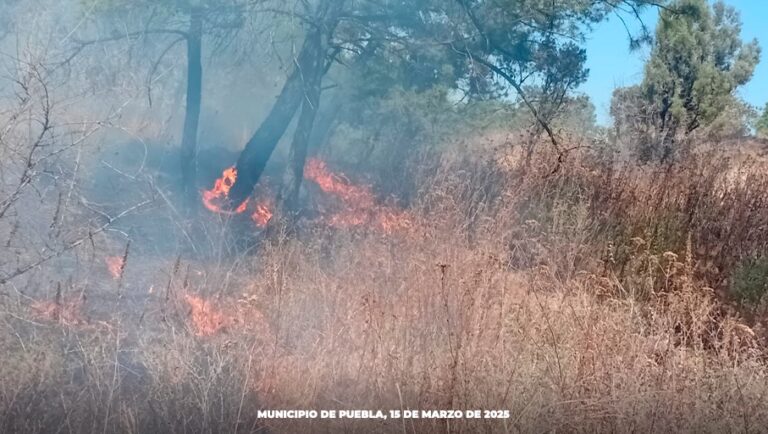 Gobierno y Fiscalía General actuarán con todo rigor contra quienes provoquen incendios