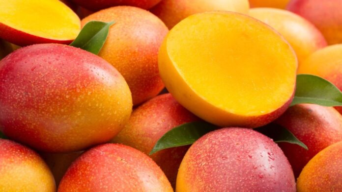MANGO PETACÓN