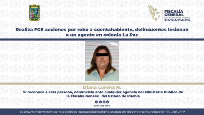 337331db-c754-409e-9170-edd02213a822
