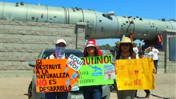 Comunidades yoreme-mayo